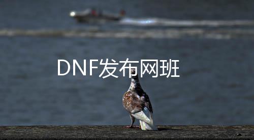 dnf私服登岸器发布网发布网班