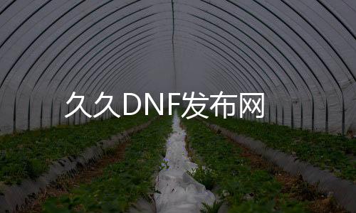 久久DNF发布网