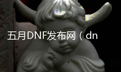 五月DNF发布网（dnf5月6号）